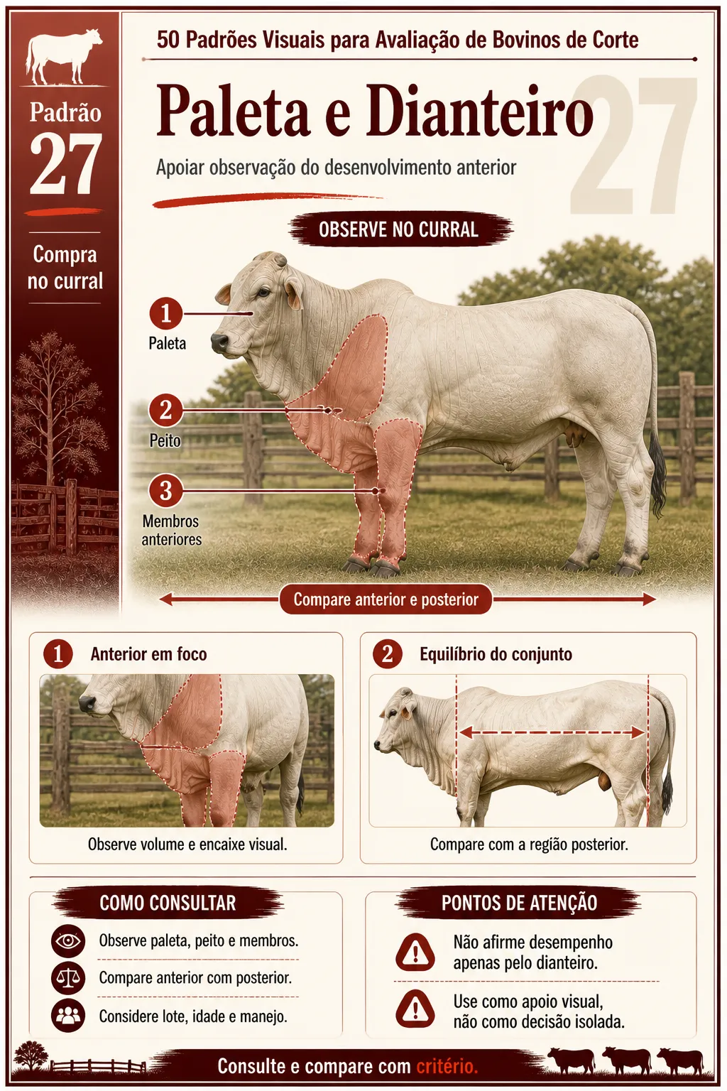 Prévia 5 do guia 50 Padrões Visuais